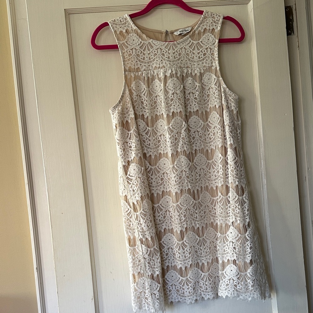 Elegant Lace Sleeveless Dress